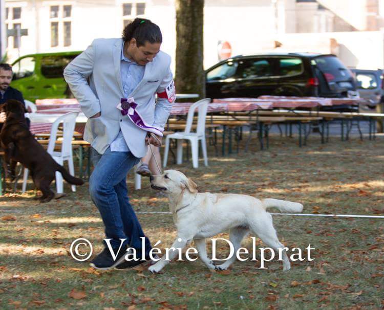 Neige éternelle de Labrapassion