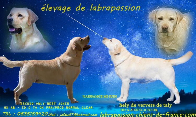 Labrapassion - porteé a venir